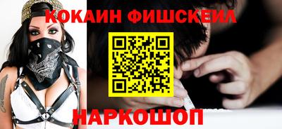 индика Камень-на-Оби