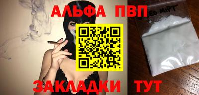 индика Камень-на-Оби