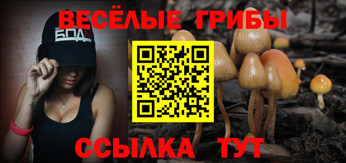 A PVP Боровичи